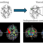 A comparison of isotropic Gaussian smoothing with vasculature smoothing. The independent components from vasculature smoothing are less noisy and more structured.