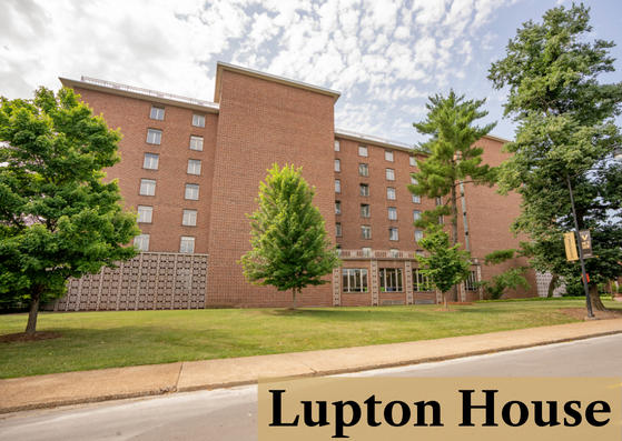 Lupton House