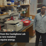 Gianni Castiglione stands in a lab at Vanderbilt University surrounded by scientific equipment, including pipettes, a centrifuge, and ice buckets. He wears glasses and a light blue button-down shirt, smiling slightly with one hand at his side. A caption in a black box reads: “New research from the Castiglione Lab shows how one rare mutation supercharged equine energy.” The Evolutionary Studies Initiative logo is in the top right corner, and a purple border outlines the image.