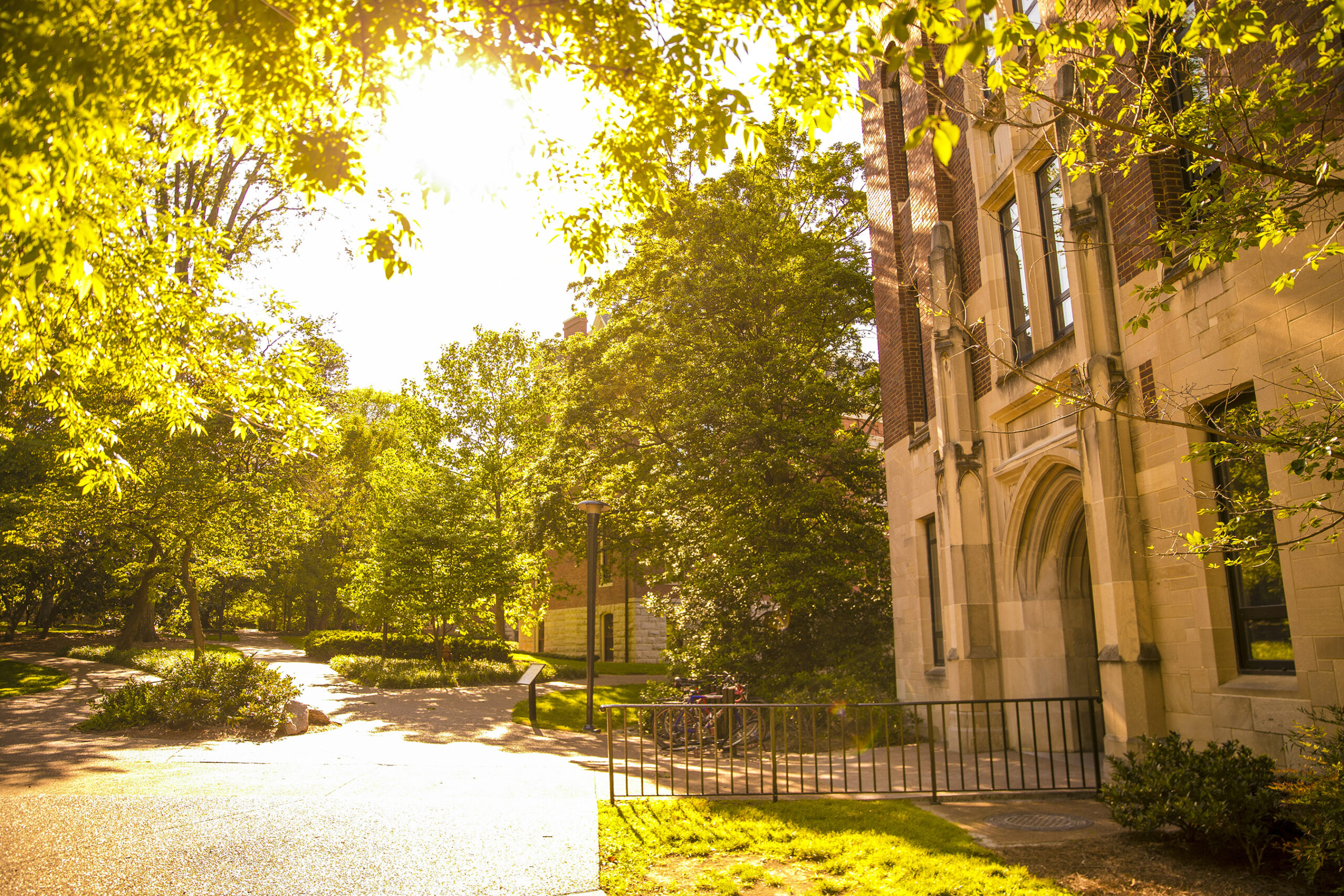 campus shot