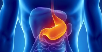 x-ray of stomach