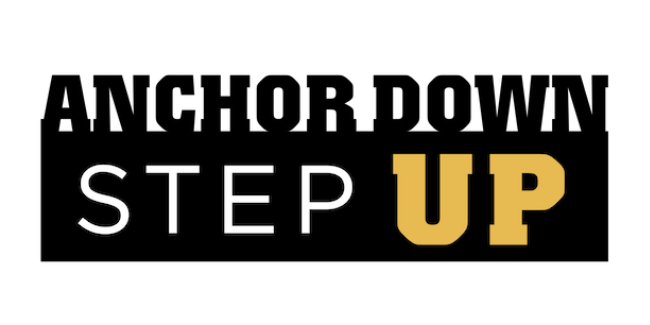 Anchor Down Step Up campaign logo with background